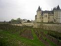 Saumur 45
